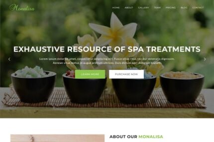 Monalisa - Health & Beauty Spa WordPress Theme