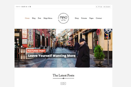 Miao - Clean Blog & Shop WordPress Theme