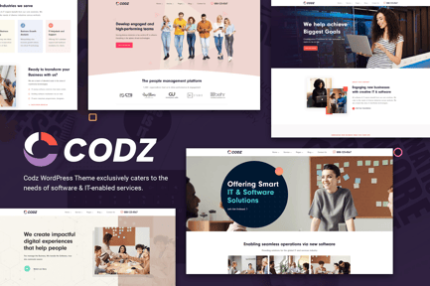 Codz - Software & IT Services Theme