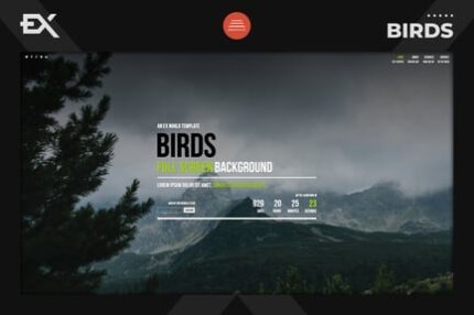 Birds - Responsive Coming Soon Page