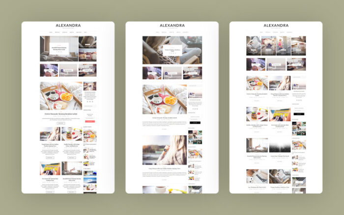 Alexandra - The Perfect WordPress Theme for Creative Blogs