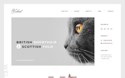 Cat Responsive Website Template