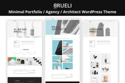 Brueli - Portfolio Agency Architect WordPress