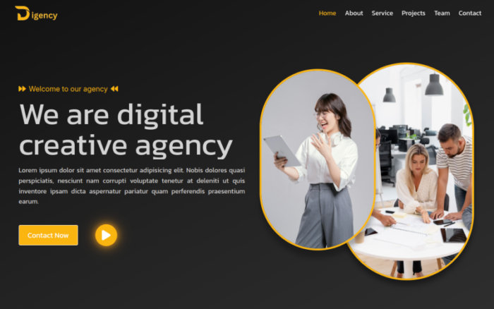 Digency - Responsive HTML5 Template Website Template