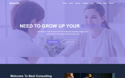 Dosmile Digital Marketing Agency Landing Page Template