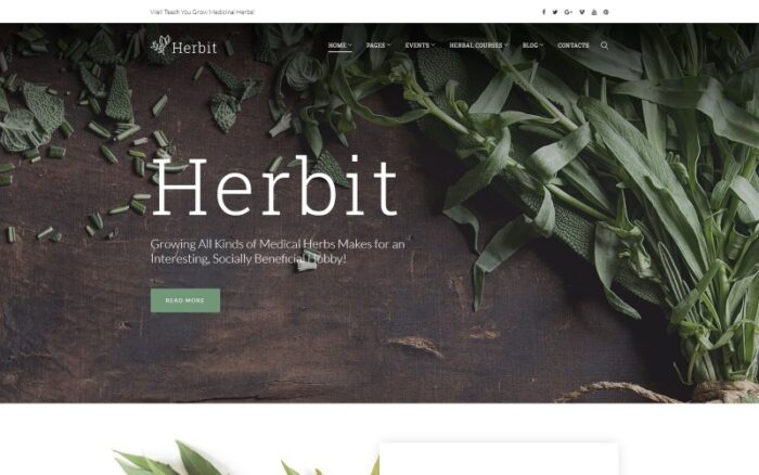 Herbit WordPress Theme