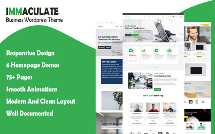 Immaculate Business - Multipurpose Consulting Wordpress Theme WordPress Theme