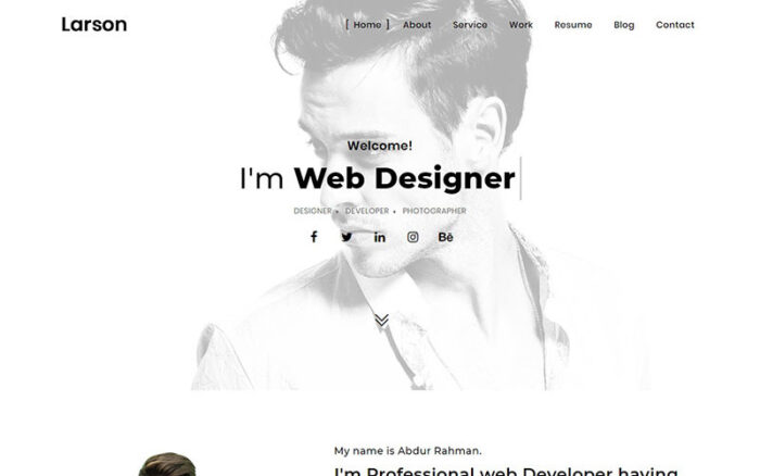 Larson - Minimal Portfolio HTML Landing Page Template