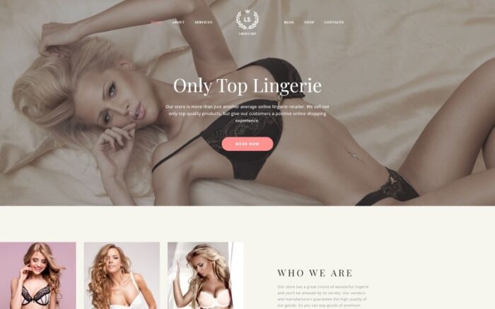 LS - Fashion Lingerie Shop Responsive Multipage Website Template