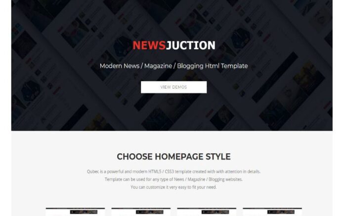 Newsjunction Website Template