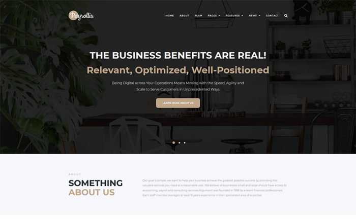 Payrollix - Internet Business Accounting WordPress Theme