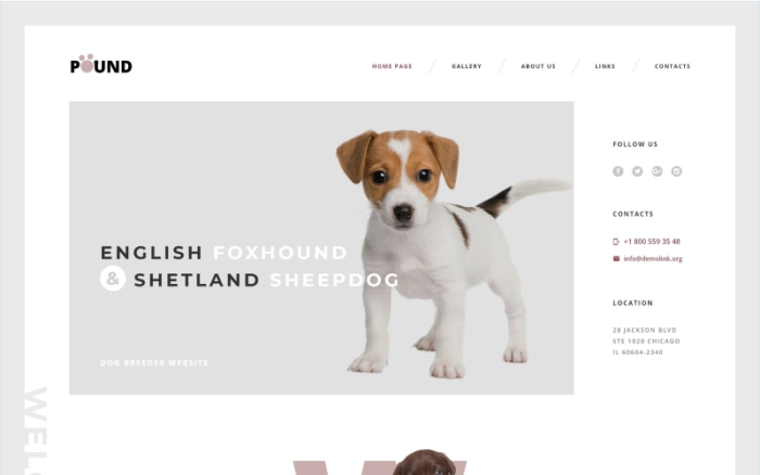 Pound - Free Animal Care Responsive Website Template