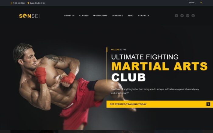 Sensei - Martial Arts WordPress Theme