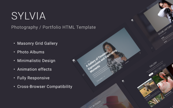 Sylvia - Photographer Template FREE Website Template