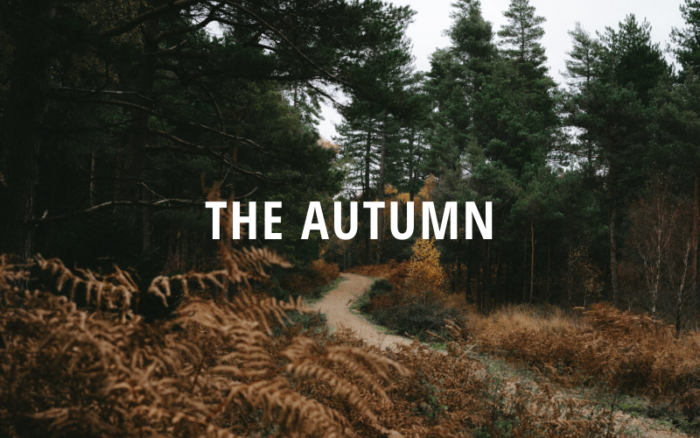 The Autumn - HTML - Portfolio | Responsive Website Template