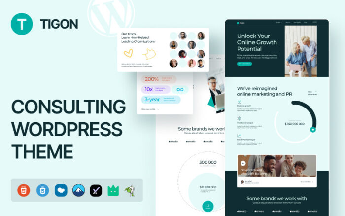 Tigon Consulting WordPress Theme