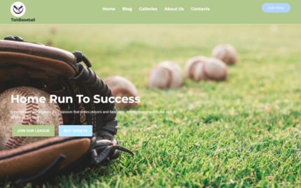 TishBaseball - Baseball WordPress Theme