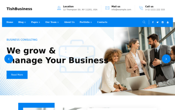 TishBusiness - Corporate and Business WordPress Theme