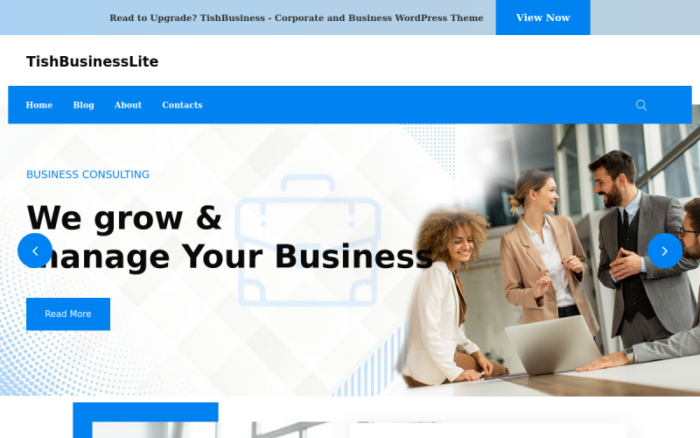 TishBusinessLite - Free Corporate and Business WordPress Theme