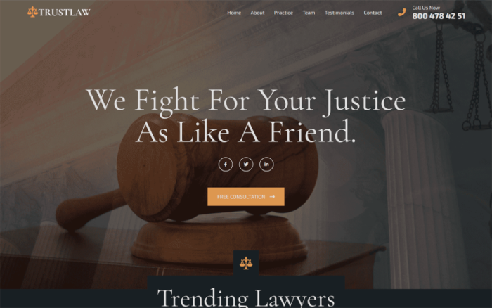 Trustlaw Law Agencty - HTML5 Landing Page Template