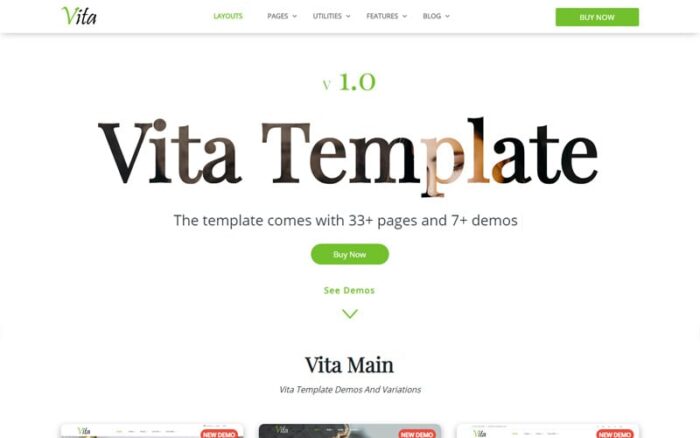 Vita - Responsive Website Template